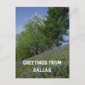 Grüße von Dallas Postcard Postkarte (Vorderseite)