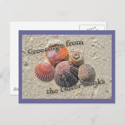 Grüße von den Äußeren Banken Seashells Postkarte (Vorne/Hinten)
