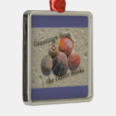 Grüße von den äußeren Bankenseashells-Einzelteilen Silbernes Ornament (Rechts)