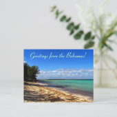 Grüße von den Bahamas! Postkarte (Stehend Vorderseite)