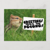 Grüße von den Poconos! Chipmunk mit Zeichen Postkarte (Vorderseite)