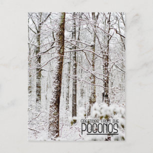 Grüße von den Poconos!Schneewald Postkarte