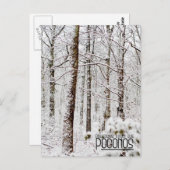Grüße von den Poconos!Schneewald Postkarte (Vorne/Hinten)