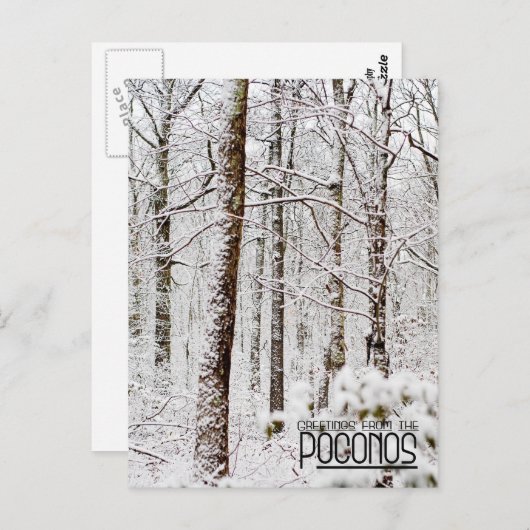 Grüße von den Poconos!Schneewald Postkarte (Vorne/Hinten)