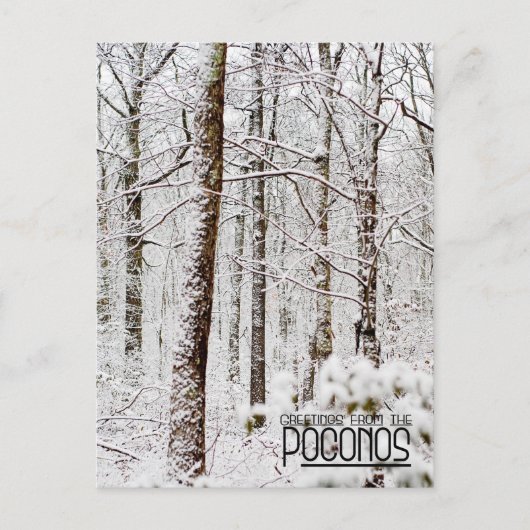 Grüße von den Poconos!Schneewald Postkarte (Vorderseite)