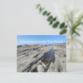 Grüße von den Tide Pools! Postkarte (Stehend Vorderseite)