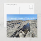 Grüße von den Tide Pools! Postkarte (Vorne/Hinten)