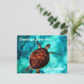 Grüße von der Bahamas Postkarte (Stehend Vorderseite)