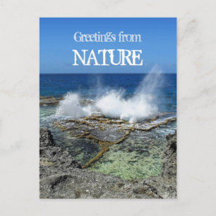 Grüße von der Natur Postkarte
