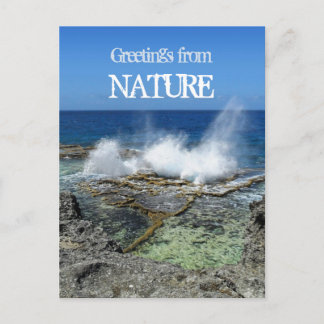 Grüße von der Natur Postkarte