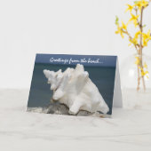 Grüße von der Strand-Tritonshorn-Muschel Karte (Gelbe Blume)