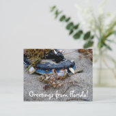 Grüße von Florida Postcard Postkarte (Stehend Vorderseite)