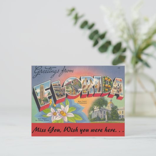 Grüße von FLORIDA Postkarte (Stehend Vorderseite)