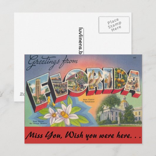 Grüße von FLORIDA Postkarte (Vorne/Hinten)