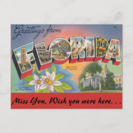 Grüße von FLORIDA Postkarte