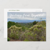 Grüße von Hayward! Postkarte (Vorne/Hinten)