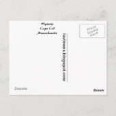 Grüße von Hyannis Postkarte (Rückseite)
