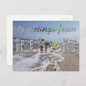 Grüße von Illinois State Flag Hearts USA Postkarte (Vorne/Hinten)