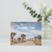 Grüße von Joshua Tree Postcard Postkarte (Stehend Vorderseite)