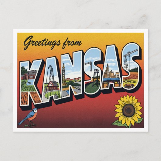 Grüße von Kansas Sunflower Postkarte (Vorderseite)
