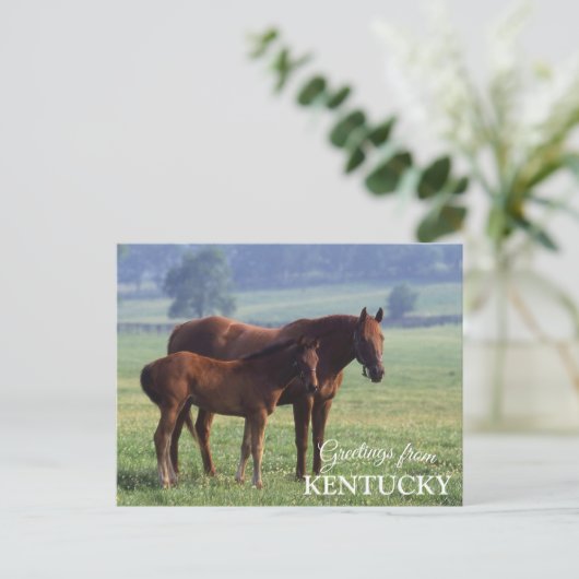 Grüße von Kentucky Postkarte (Stehend Vorderseite)