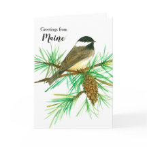 Grüße von Maine Black Capped Chickadee