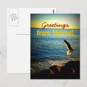Grüße von Malibu! Postkarte (Vorne/Hinten)