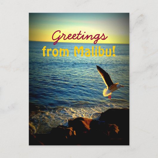 Grüße von Malibu! Postkarte (Vorderseite)