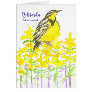 Grüße von Nebraska Meadowlark Goldenrod