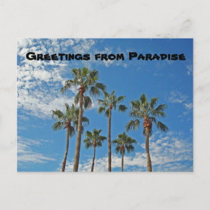 Grüße von Paradise Palm Trees Blue Sky Island Postkarte