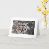 Grüße von Pride Rock Karte (Gelbe Blume)