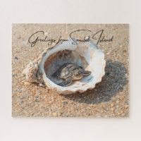 Grüße von Sanibel Island Meeresschildkröte in der 
