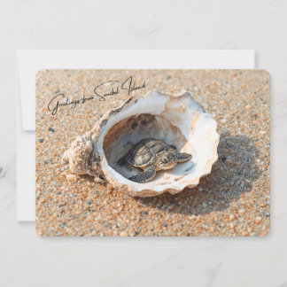 Grüße von Sanibel Island Sea Turtle in Shell Karte