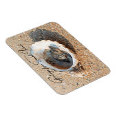 Grüße von Sanibel Island Sea Turtle in Shell Magnet (Rechte Seite)