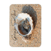 Grüße von Sanibel Island Sea Turtle in Shell Magnet (Vertikal)