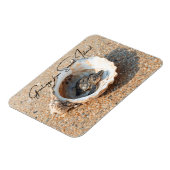 Grüße von Sanibel Island Sea Turtle in Shell Magnet (Linke Seite)