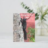Grüße von ... Schwarzes Eichhörnchen Postkarte (Stehend Vorderseite)