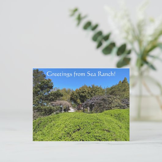 Grüße von Sea Ranch! Postkarte (Stehend Vorderseite)