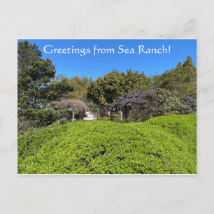 Grüße von Sea Ranch! Postkarte