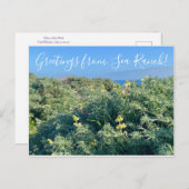 Grüße von Sea Ranch! Postkarte (Vorne/Hinten)