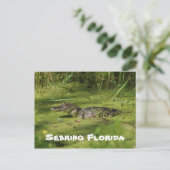 Grüße von Sebring Florida Postkarte (Stehend Vorderseite)