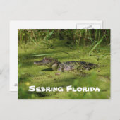 Grüße von Sebring Florida Postkarte (Vorne/Hinten)