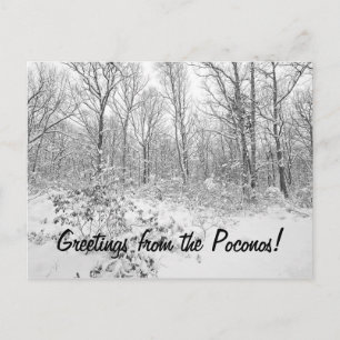 Grüße von Snowy Poconos Postkarte