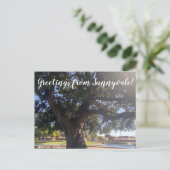 Grüße von Sunnyvale! Postkarte (Stehend Vorderseite)