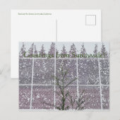 Grüße von Sunnyvale! Postkarte (Vorne/Hinten)