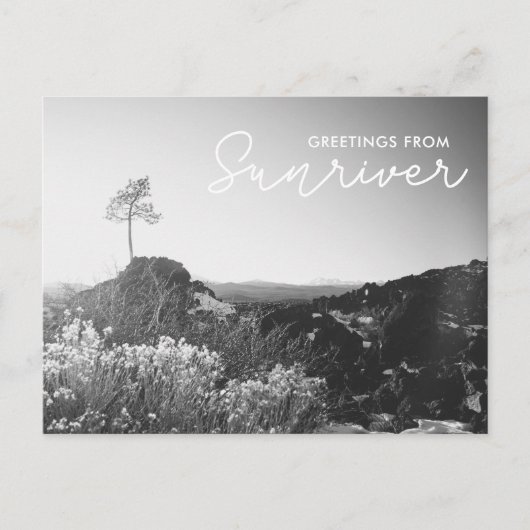 Grüße von Sunriver Oregon Postcard Postkarte (Vorderseite)