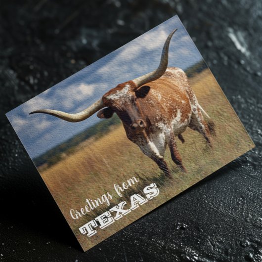 Grüße von Texas Longhorn Bull Postkarte