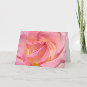 Grüße zum besonderen Anlass Karten Pinke Rose Blum