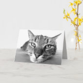 Grußkarte abkühlen karte (Gelbe Blume)