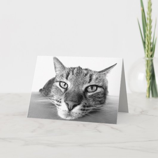 Grußkarte abkühlen karte (Vorderseite)